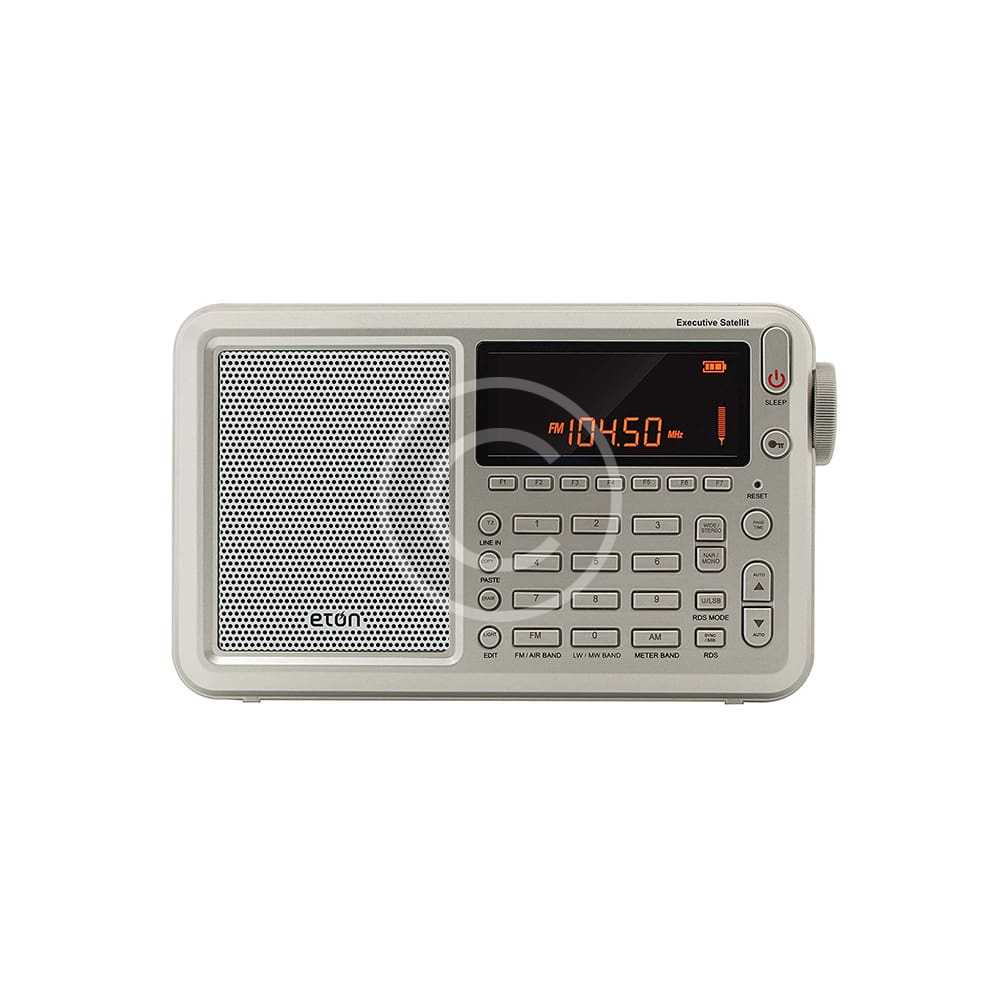 Executive Satellite Radio with RDS